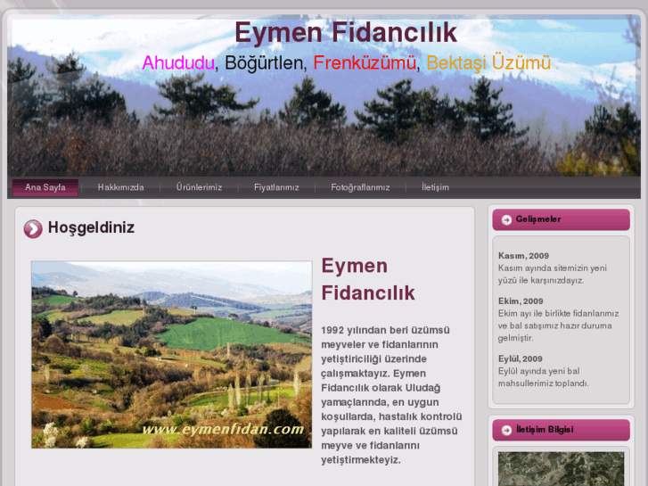 www.eymenfidan.com