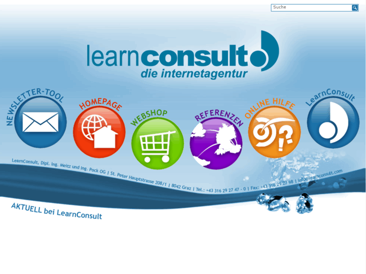 www.learnconsult.com