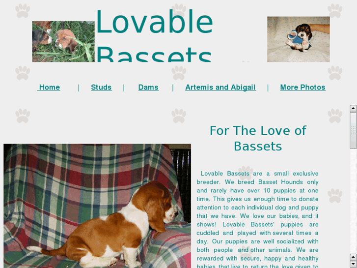 www.lovablebassets.com