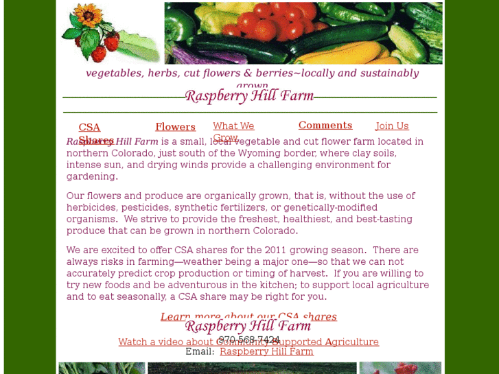 www.raspberryhillfarmcsa.com