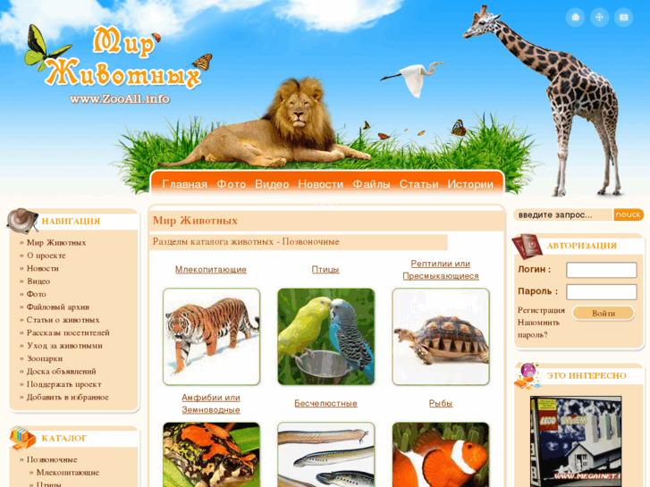 www.zooall.info