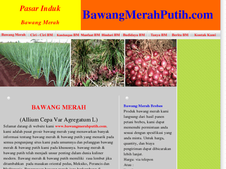 www.bawangmerahputih.com