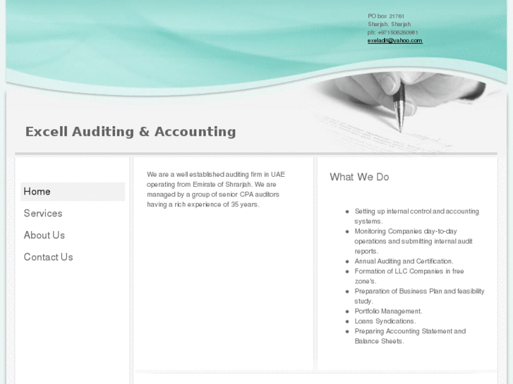 www.excelaudit.com