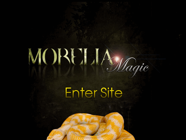 www.moreliamagic.com