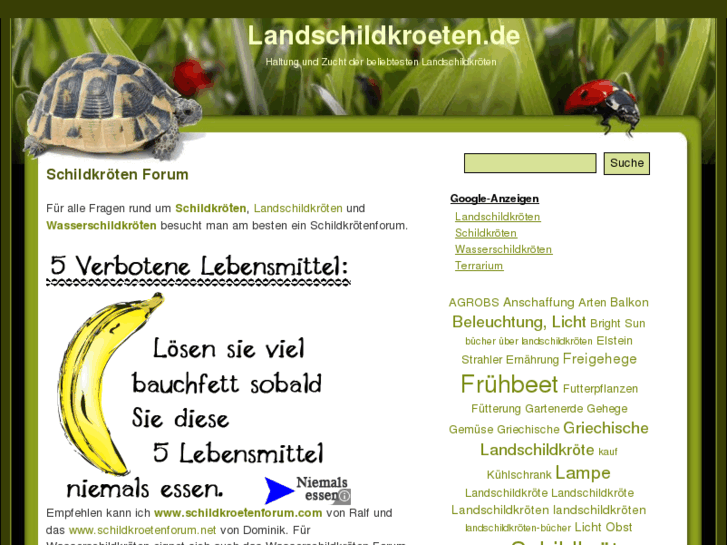 www.schildkroetenforum.info