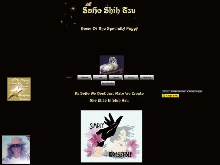 www.sohoshihtzus.com