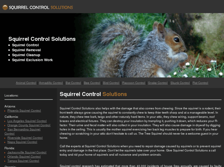 www.squirrelcontrolsolutions.com