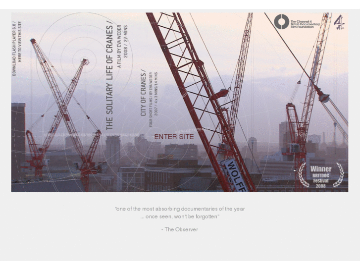 www.cityofcranes.com