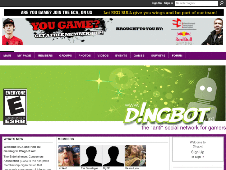 www.dingbot.net