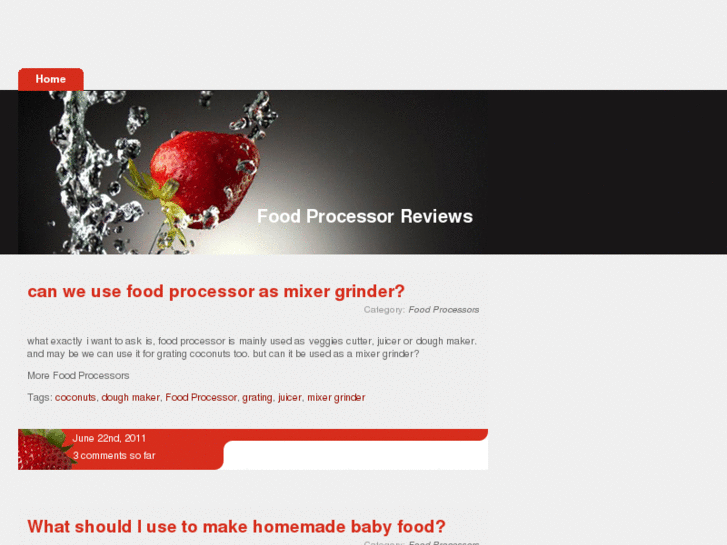 www.foodprocessor-reviews.com