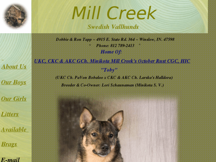 www.millcreekaussies.com