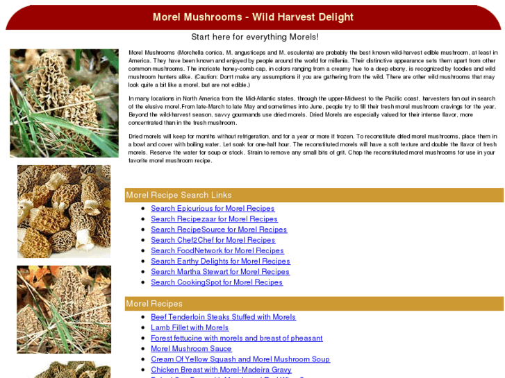 www.morel-mushrooms.com