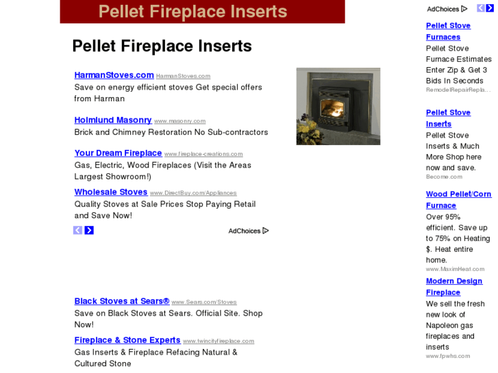 www.pellet-fireplace-inserts.com