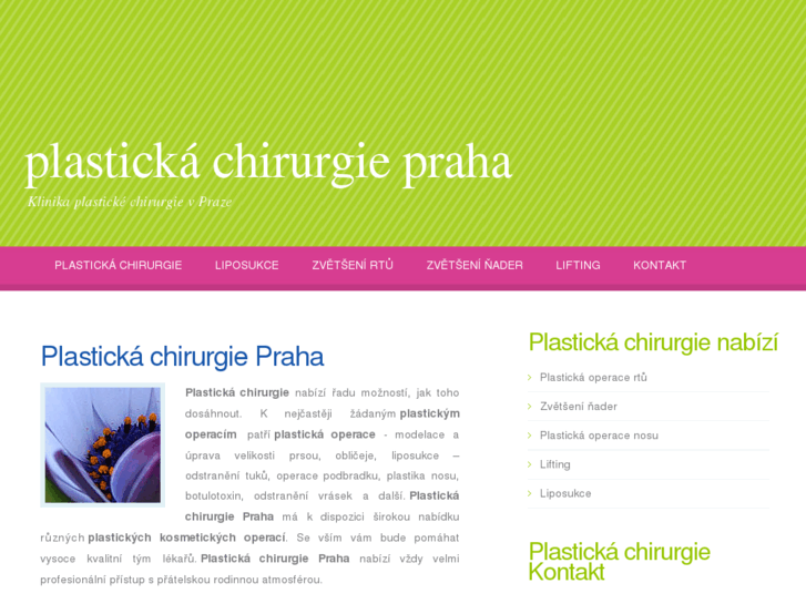 www.prahaplastickachirurgie.cz