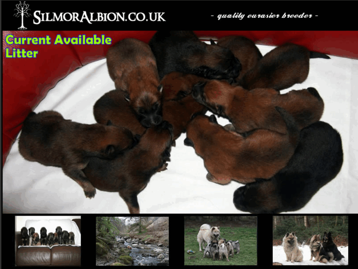 www.silmoralbion.co.uk