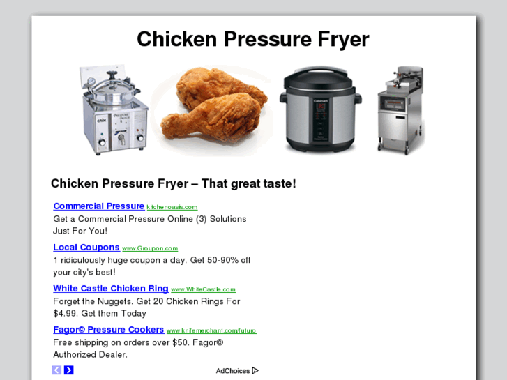 www.chickenpressurefryer.org