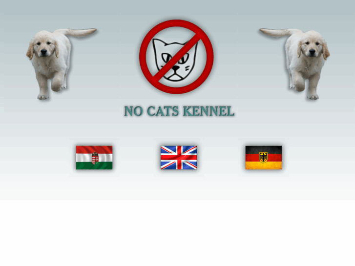 www.nocatskennel.com