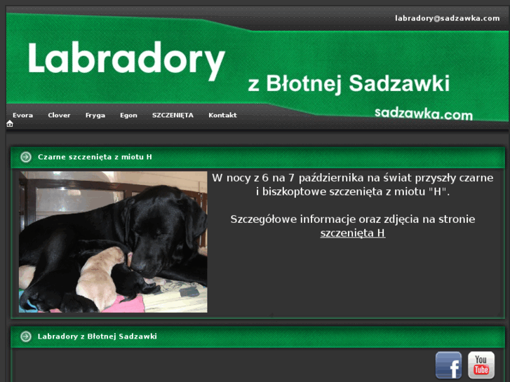 www.sadzawka.com