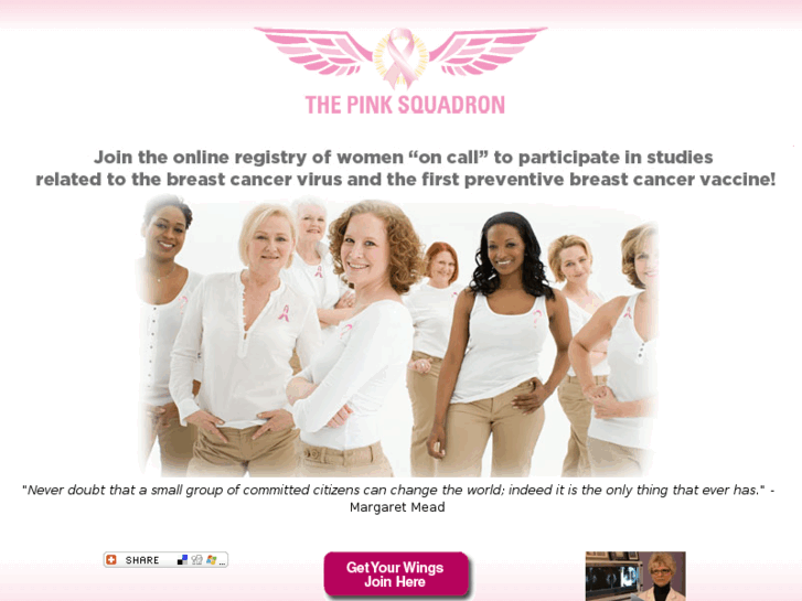 www.thepinksquadron.com