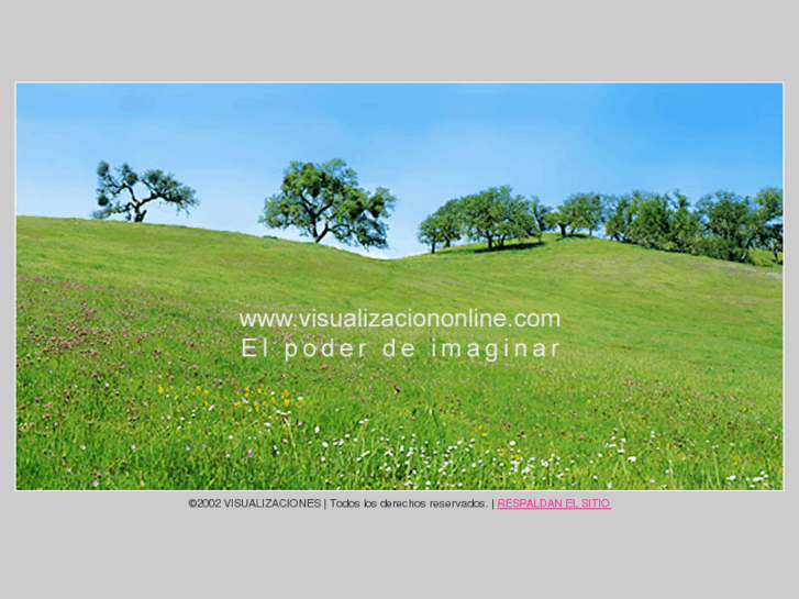 www.visualizaciononline.com