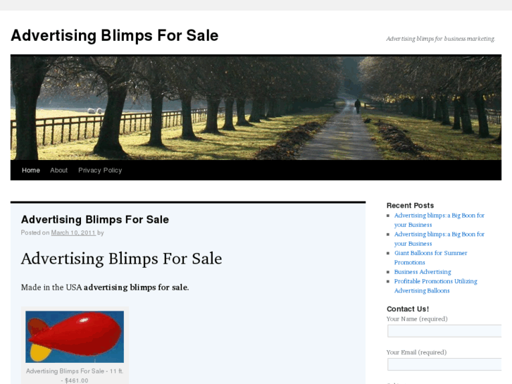 www.advertisingblimpsforsale.com