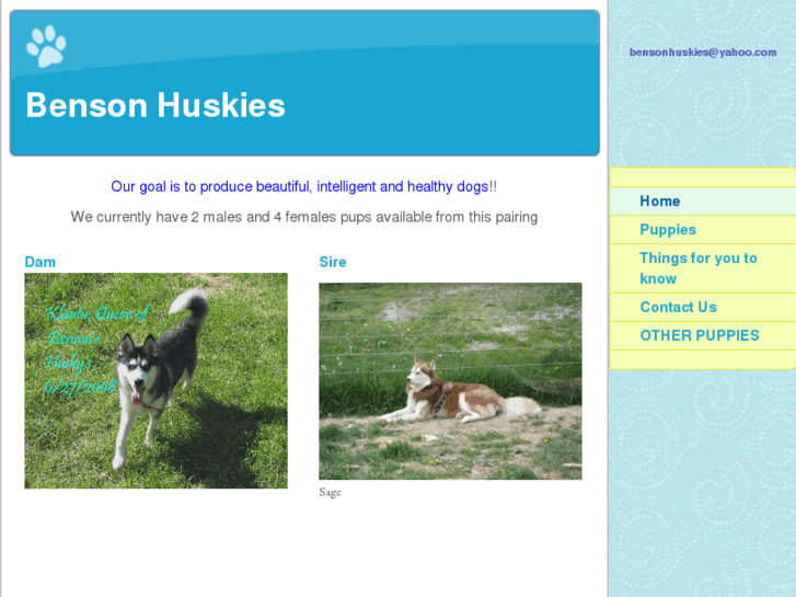 www.bensonhuskies.com