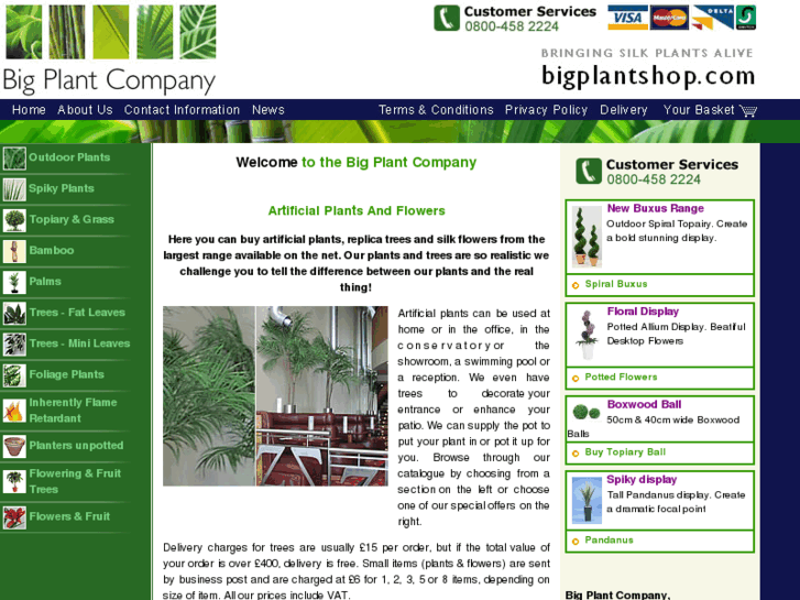 www.bigplantshop.com
