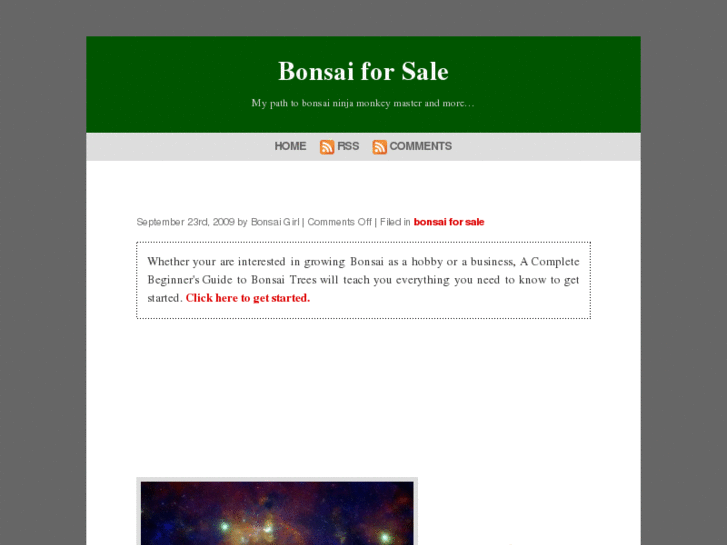 www.bonsai-forsale.com