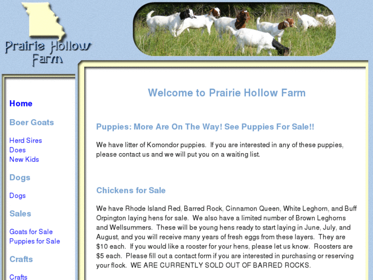 www.prairiehollowfarm.com