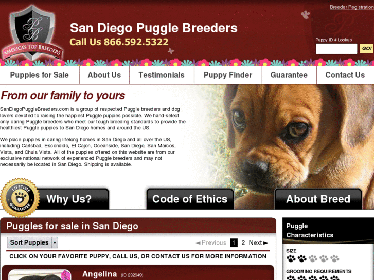 www.sandiegopugglebreeders.com