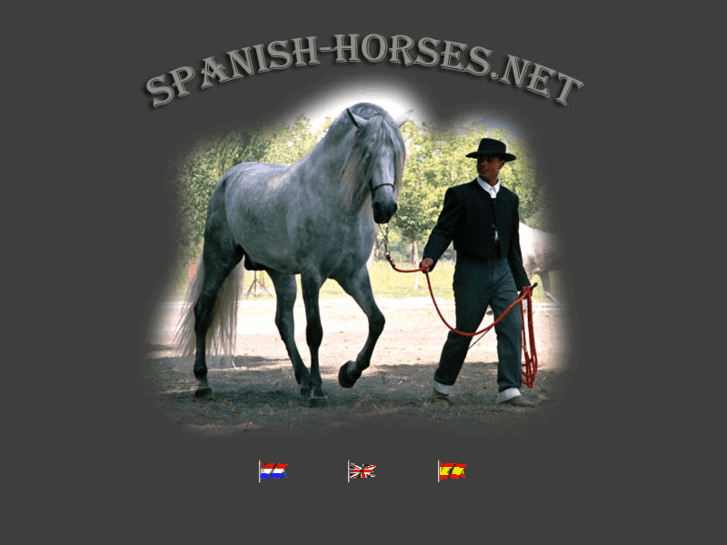 www.spanish-horses.net