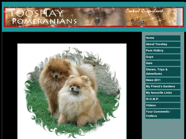 www.tooshaypomeranians.com