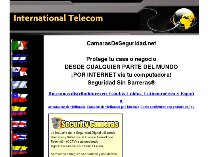 www.videovigilanciaporinternet.com