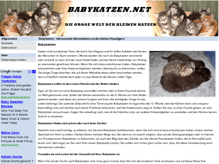 www.babykatzen.net