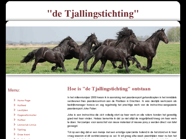 www.detjallingstichting.nl