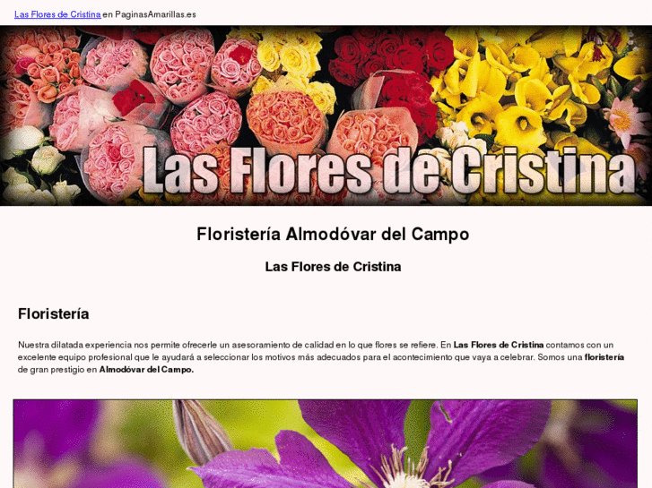 www.lasfloresdecristina.com