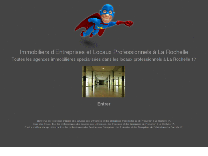 www.locaux-professionnels-la-rochelle.com