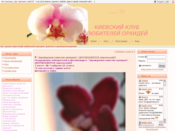 www.orhidei.org