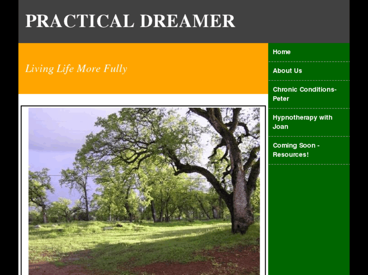 www.practical-dreamer.com