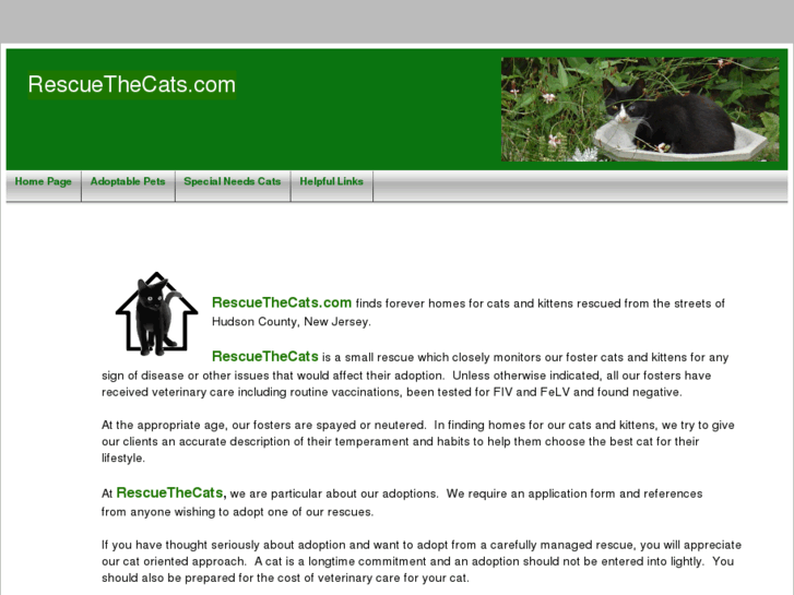 www.rescuethecats.com