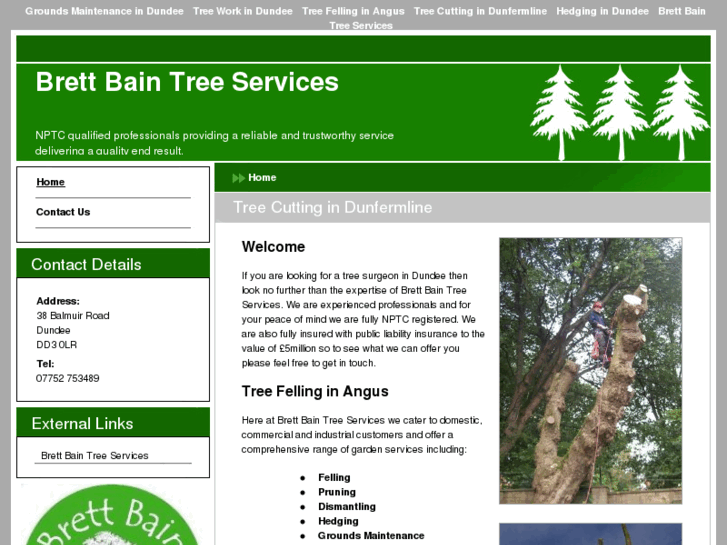 www.treesurgeondundee.com