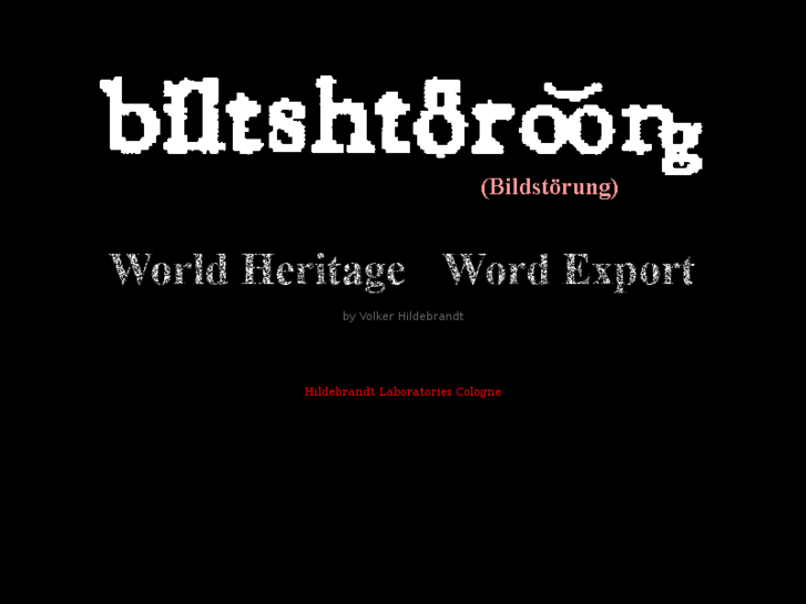 www.bildstoerung.com