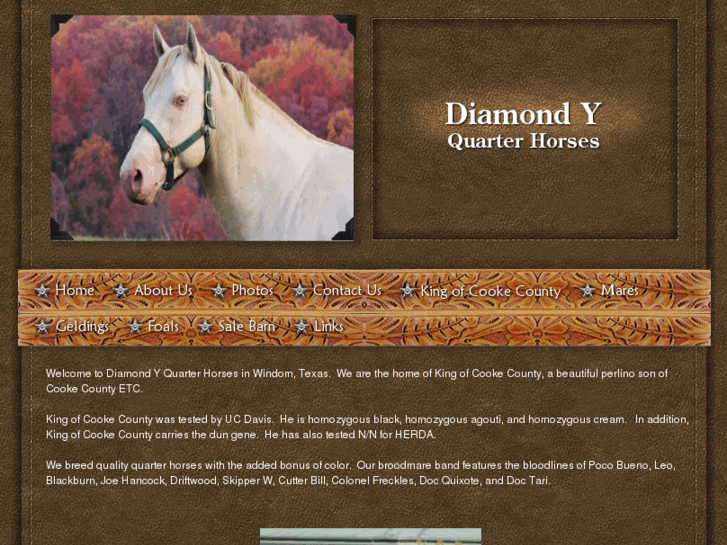 www.diamondyquarterhorses.com