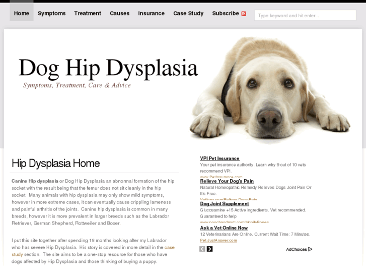 www.dog-hip-dysplasia.com