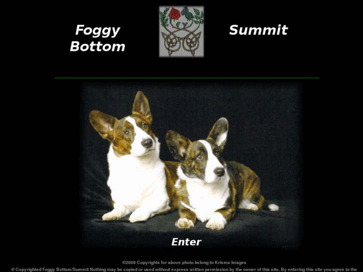 www.foggybottomusa.com