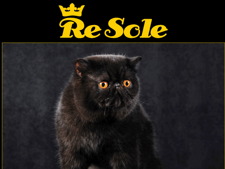 www.resolecats.com