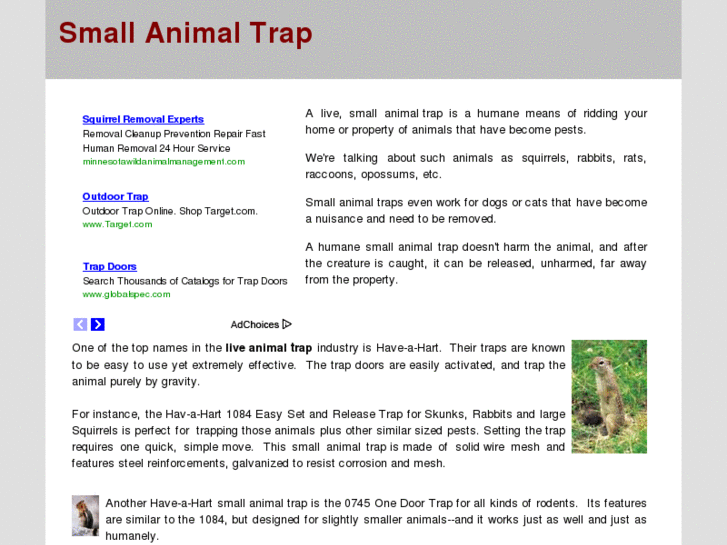 www.smallanimaltrap.com