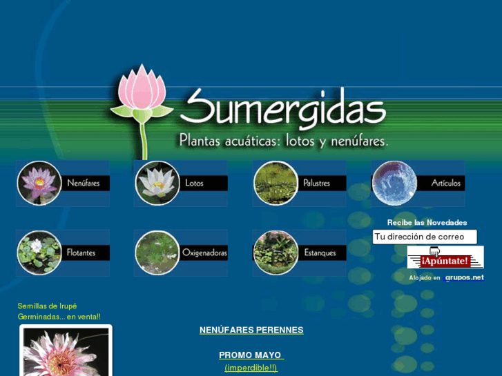 www.sumergidas.com