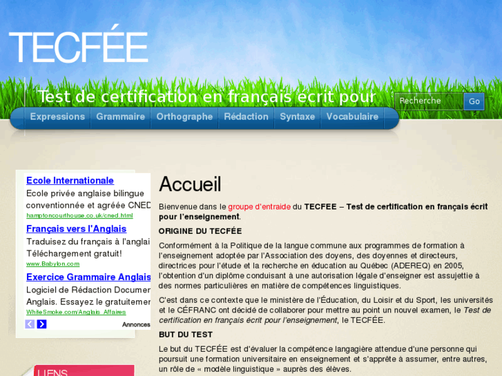 www.tecfee.com