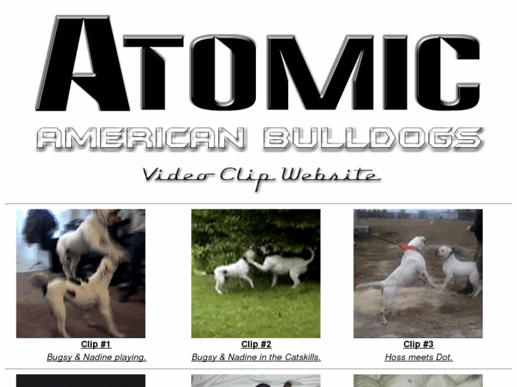 www.atomicbulldogs.com